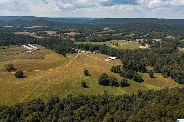 drone / aerial view