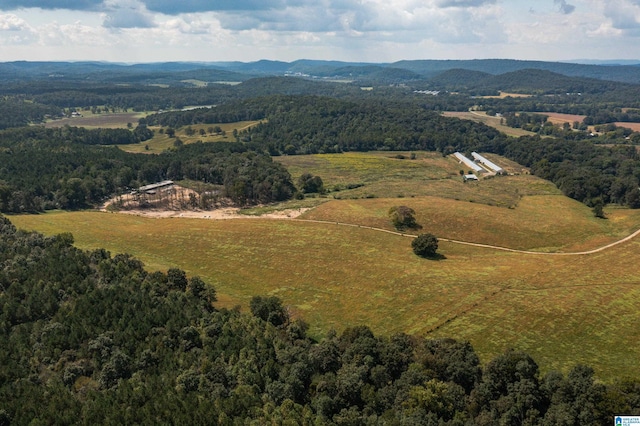 aerial view with a mountain view