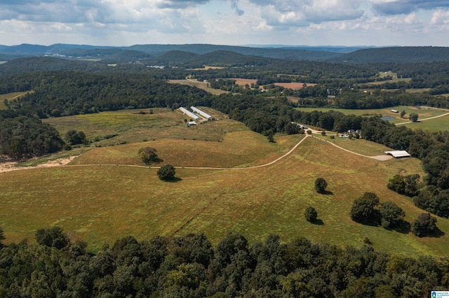 birds eye view of property featuring a mountain view and a rural view