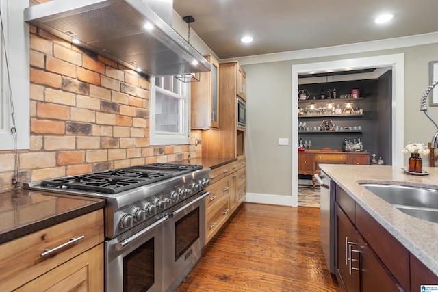 kitchen with sink, hanging light fixtures, dark hardwood / wood-style floors, ventilation hood, and appliances with stainless steel finishes