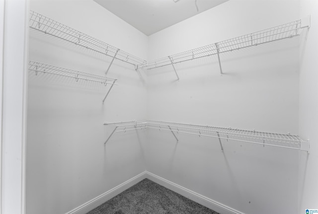 spacious closet with carpet