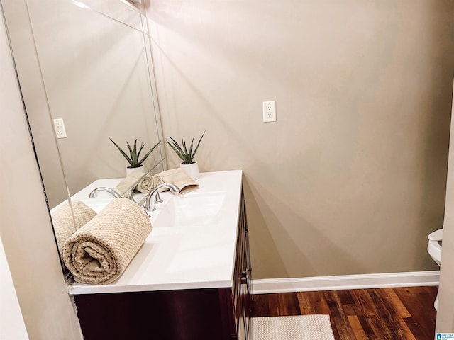 bathroom with wood-type flooring and vanity