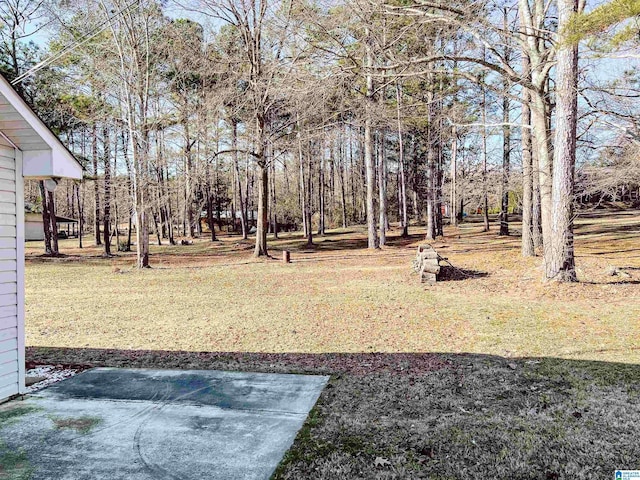 view of yard featuring a patio area