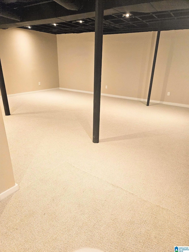 basement featuring carpet floors