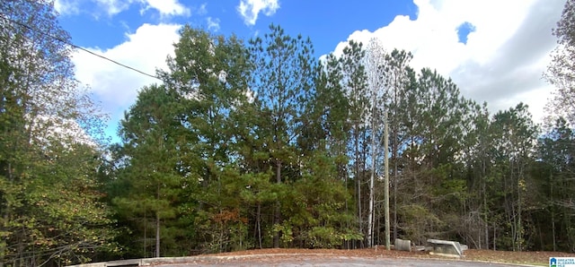 Listing photo 2 for 7374 Creek Trce Unit 408, Bessemer AL 35022