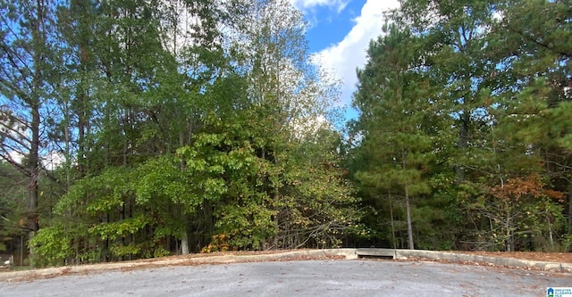 Listing photo 3 for 7374 Creek Trce Unit 408, Bessemer AL 35022