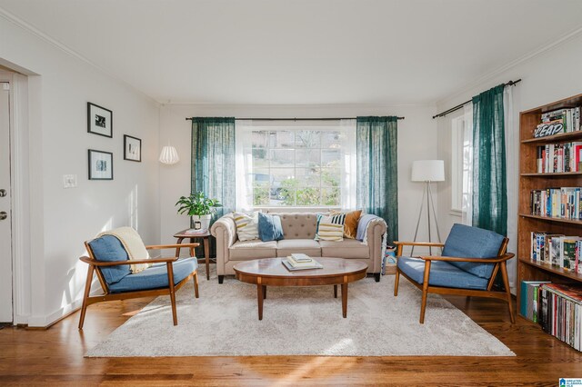 living room featuring wood-type flooring