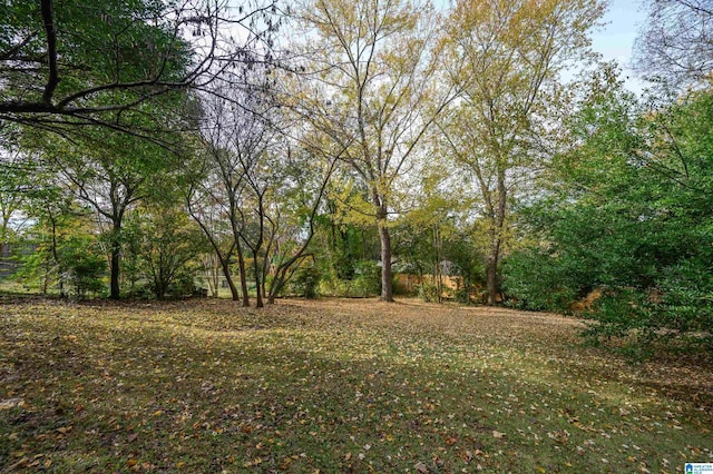 view of local wilderness