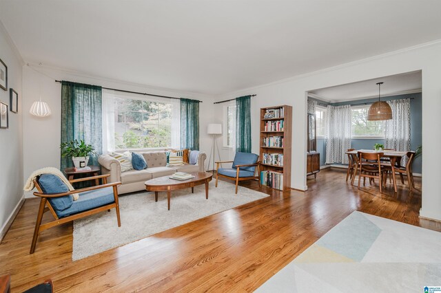 living room featuring hardwood / wood-style floors and ornamental molding