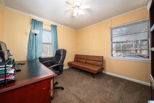 office with ceiling fan, carpet floors, and ornamental molding