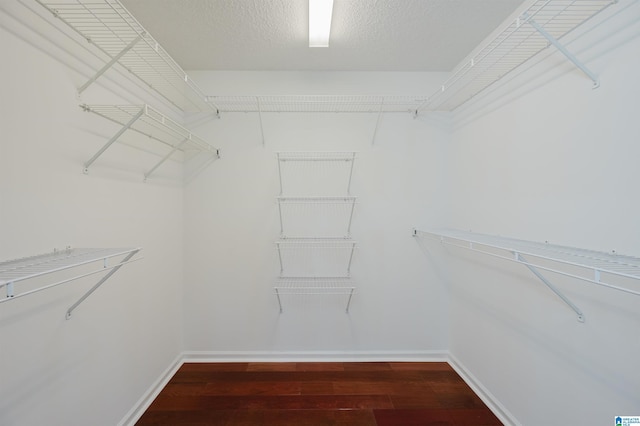 walk in closet featuring hardwood / wood-style flooring