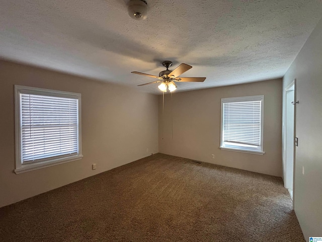 empty room featuring plenty of natural light, carpet, and a textured ceiling