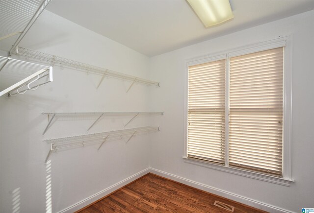 walk in closet featuring dark hardwood / wood-style flooring