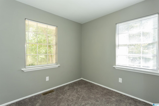 carpeted spare room with a healthy amount of sunlight