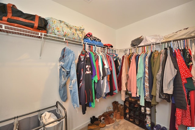 walk in closet with carpet flooring