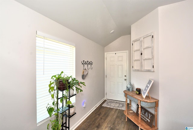 entrance foyer featuring dark hardwood / wood-style floors and lofted ceiling