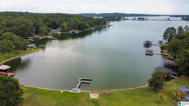 aerial view with a water view