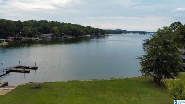 property view of water featuring a boat dock