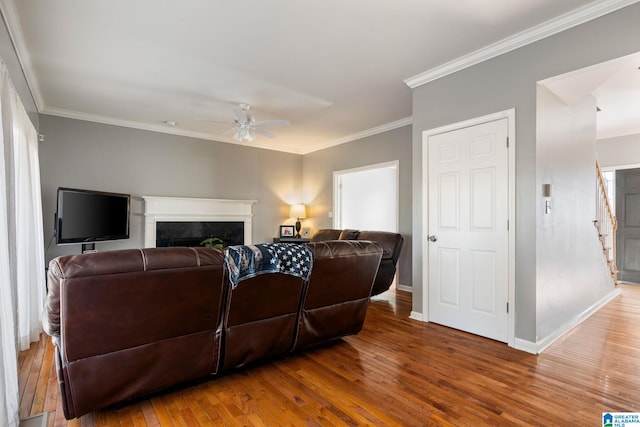 living room featuring ceiling fan, hardwood / wood-style floors, a high end fireplace, and crown molding