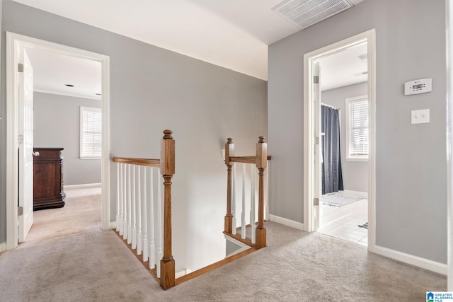 hall with light carpet and crown molding