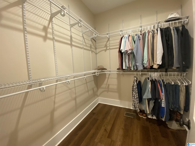 walk in closet with wood-type flooring