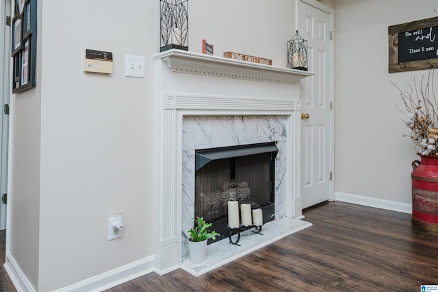 room details featuring a premium fireplace and hardwood / wood-style floors