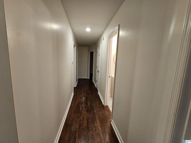 hallway with dark hardwood / wood-style floors