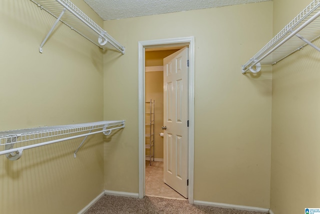 spacious closet featuring light carpet