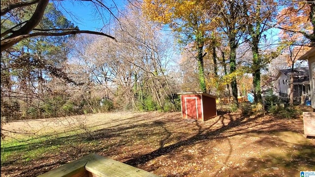 view of yard featuring a storage shed