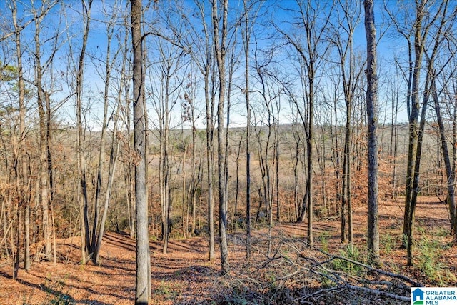 view of local wilderness