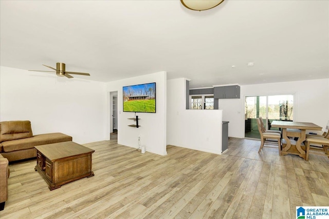 living room with ceiling fan and light hardwood / wood-style flooring