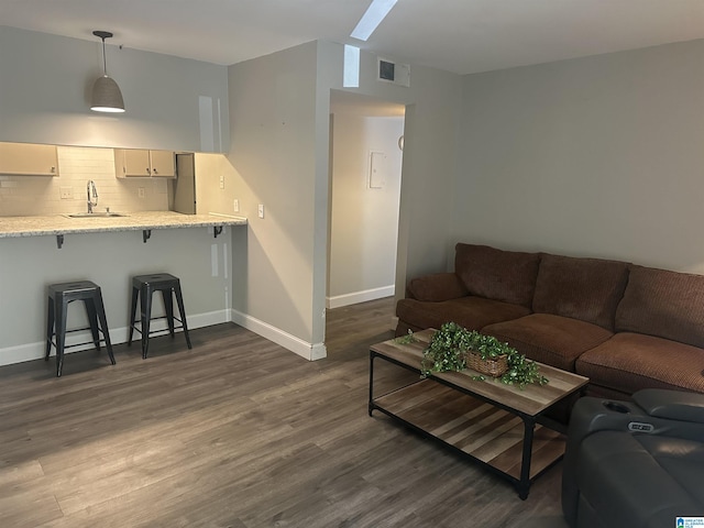 living room featuring sink and dark wood-type flooring