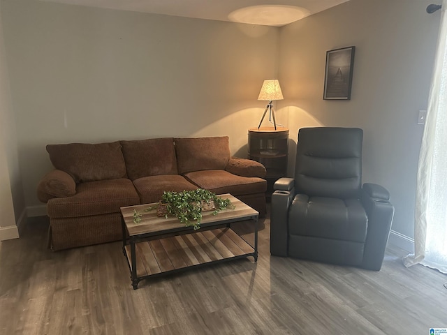 living room featuring hardwood / wood-style flooring