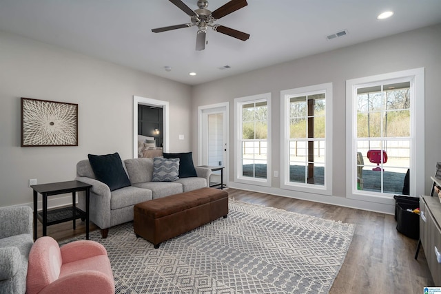 living room with ceiling fan and hardwood / wood-style flooring