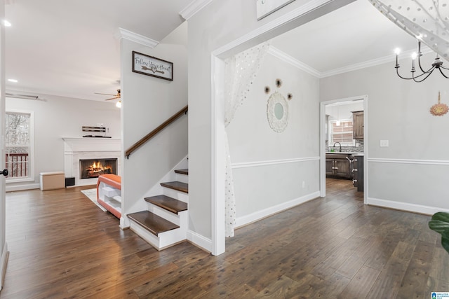 stairs with a high end fireplace, ornamental molding, ceiling fan with notable chandelier, sink, and wood-type flooring