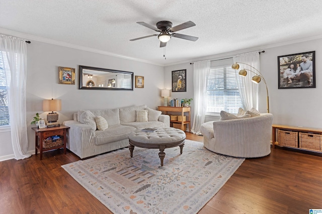 living room featuring ceiling fan, crown molding, a textured ceiling, and dark wood-type flooring