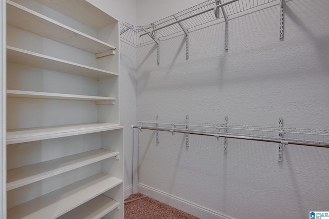 spacious closet featuring carpet