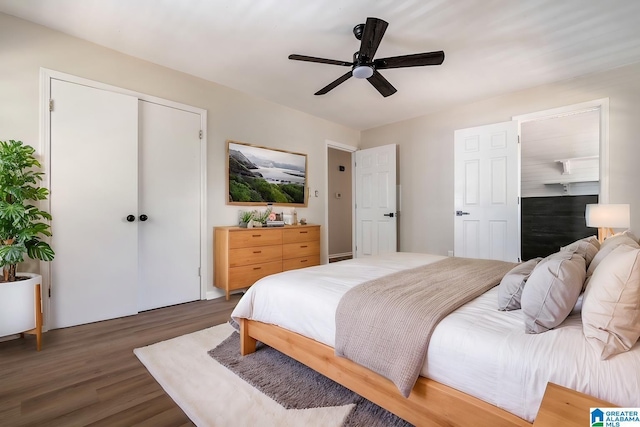 bedroom with a closet, ceiling fan, and dark hardwood / wood-style flooring