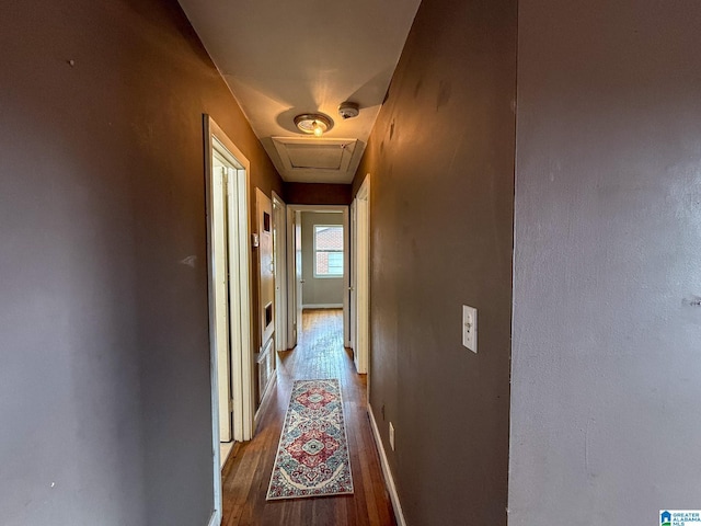 hall with hardwood / wood-style flooring