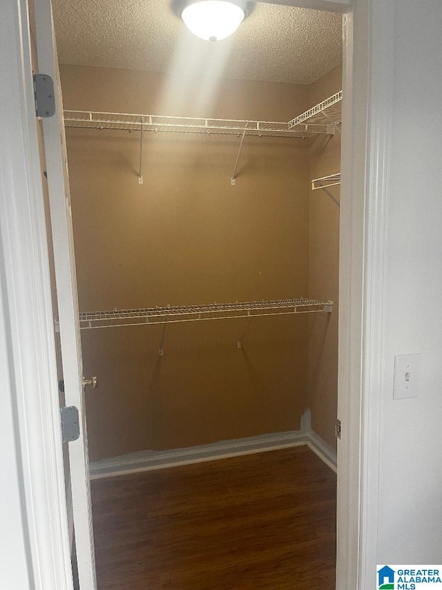 walk in closet with hardwood / wood-style flooring