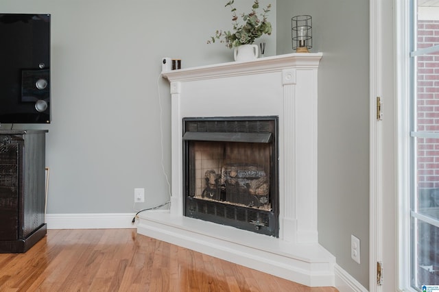 room details with hardwood / wood-style flooring