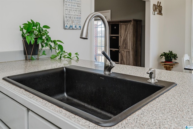 room details featuring a barn door and sink