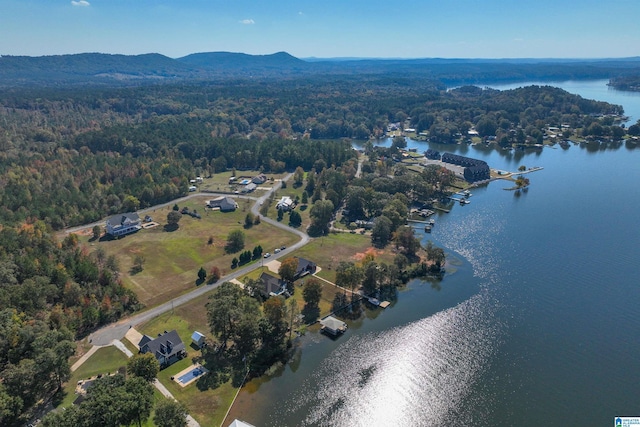 drone / aerial view with a water and mountain view