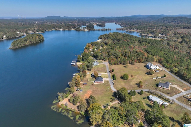 bird's eye view featuring a water and mountain view