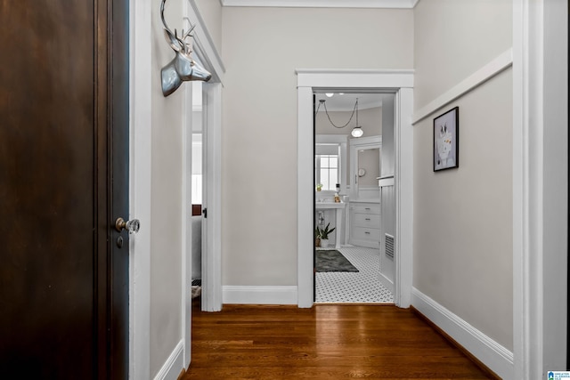 corridor with dark hardwood / wood-style flooring