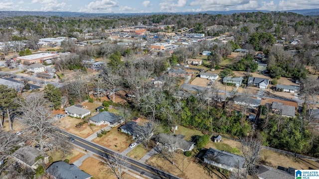 bird's eye view