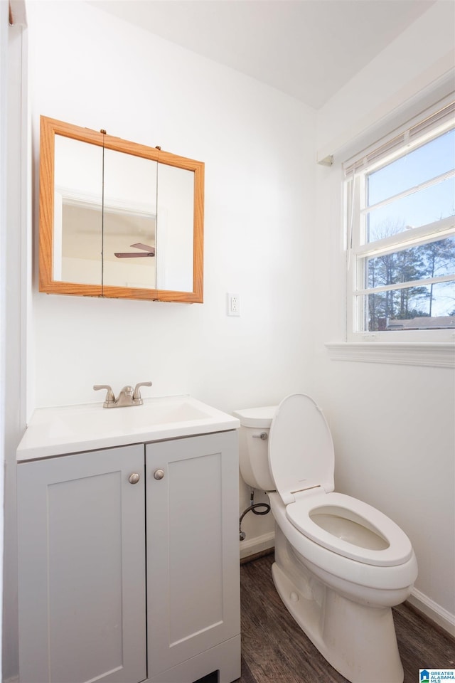 bathroom featuring vanity, hardwood / wood-style flooring, and toilet