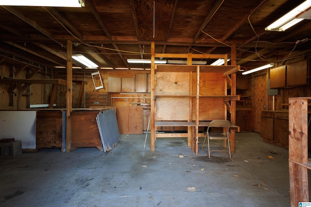 basement with wooden walls