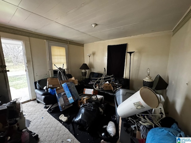 misc room featuring carpet and crown molding