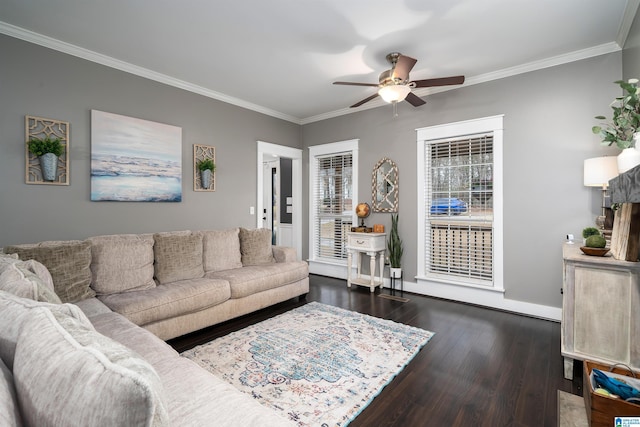 living room with dark hardwood / wood-style flooring, ceiling fan, and crown molding